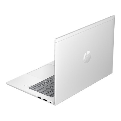 HP ProBook 445 G11 Pike Silver (AD0U0ET)
