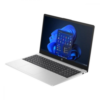 HP 250 G10 Turbo Silver (85C52EA)