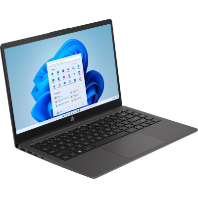 HP 245 G10 Dark Ash Silver (B39TGAT)