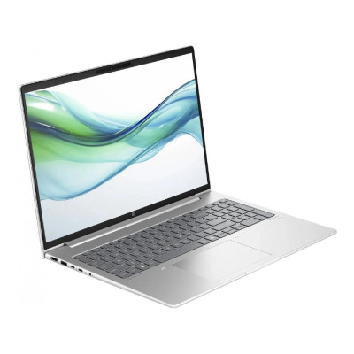 HP ProBook 465 G11 Pike Silver (9Y7V0ET)