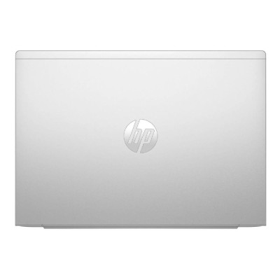 HP ProBook 465 G11 Pike Silver (9Y7V0ET)