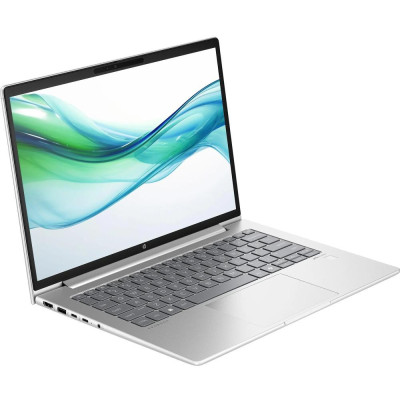 HP ProBook 440 G11 Pike Silver (AD0X3ET)