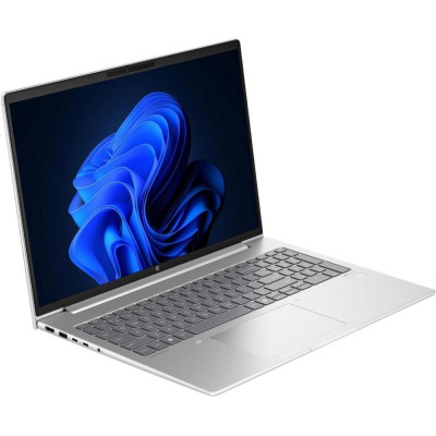 HP ProBook 460 G11 Pike Silver (AD0W0ET)