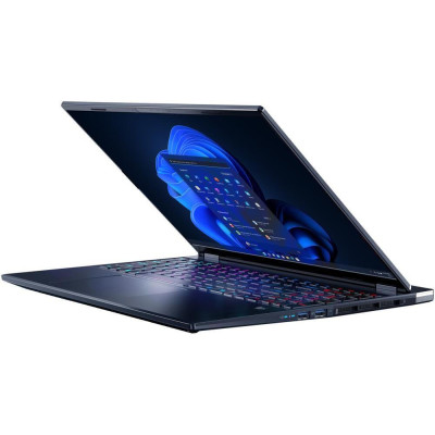 Acer Predator Helios Neo 16S AI PHN16S-71-99AT Abyssal Black (NH.QX7EU.004)