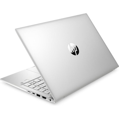 HP Pavilion 14-dv2024ua (833F9EA)