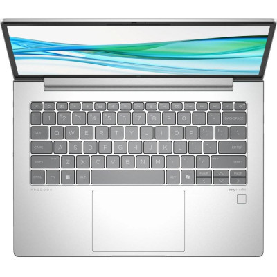 HP ProBook 445 G11 Pike Silver (AD0T8ET)
