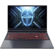 Thunderobot R16 (R16-i9139HX58C1Q300RG)