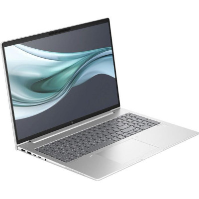 HP EliteBook 660 G11 Silver (A37WVET)