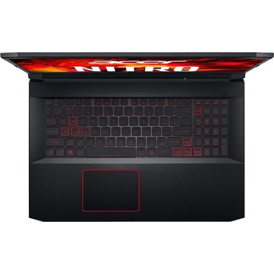 Acer Nitro 5 AN517-41 Black (NH.QBGEX.028)