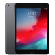 Apple iPad mini 5 Wi-Fi + Cellular 256GB Space Gray (MUXM2, MUXC2)
