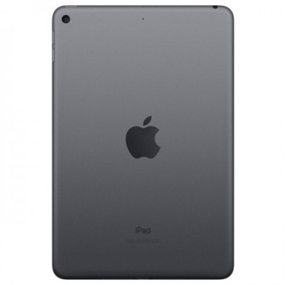 Apple iPad mini 5 Wi-Fi + Cellular 256GB Space Gray (MUXM2, MUXC2)