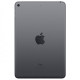 Apple iPad mini 5 Wi-Fi + Cellular 256GB Space Gray (MUXM2, MUXC2)