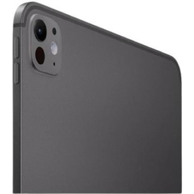 Apple iPad Pro 11 2024 Wi-Fi + Cellular 2TB Space Black with Nano-texture Glass (MWRR3)