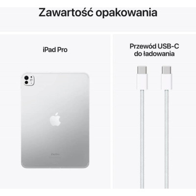 Apple iPad Pro 11 2024 Wi-Fi + Cellular 1TB Silver with Nano-texture Glass (MWRQ3)