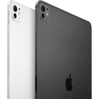 Apple iPad Pro 11 2024 Wi-Fi + Cellular 1TB Silver with Nano-texture Glass (MWRQ3)
