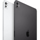 Apple iPad Pro 11 2024 Wi-Fi + Cellular 1TB Silver with Nano-texture Glass (MWRQ3)