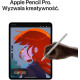 Apple iPad Pro 11 2024 Wi-Fi + Cellular 1TB Silver with Nano-texture Glass (MWRQ3)