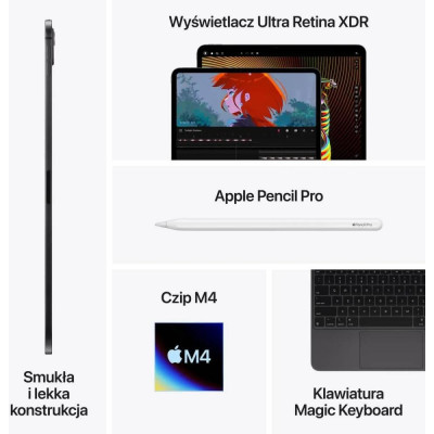 Apple iPad Pro 11 2024 Wi-Fi + Cellular 1TB Silver with Nano-texture Glass (MWRQ3)