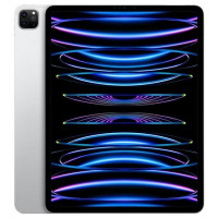 Apple iPad Pro 12.9 2022 Wi-Fi + Cellular 2TB Silver (MP673, MP273)