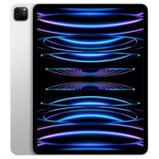 Apple iPad Pro 12.9 2022 Wi-Fi + Cellular 2TB Silver (MP673, MP273)