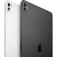 Apple iPad Pro 13 2024 Wi-Fi + Cellular 2TB Silver with Nano-texture Glass (MWT23)