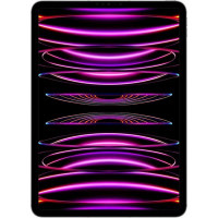 Apple iPad Pro 11 2022 Wi-Fi + Cellular 2TB Silver (MP5H3, MNYM3)