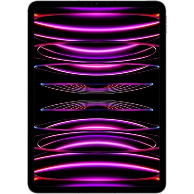 Apple iPad Pro 11 2022 Wi-Fi + Cellular 2TB Silver (MP5H3, MNYM3)