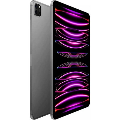 Apple iPad Pro 11 2022 Wi-Fi + Cellular 2TB Silver (MP5H3, MNYM3)