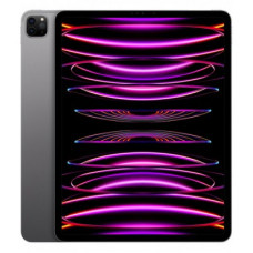 Apple iPad Pro 11 2022 Wi-Fi + Cellular 512GB Space Gray (MP593, MNYG3)