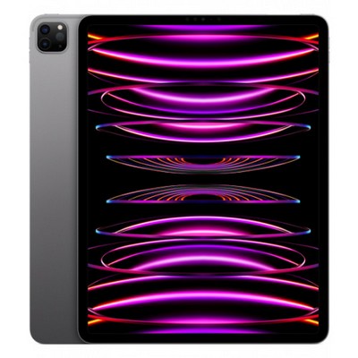 Apple iPad Pro 11 2022 Wi-Fi + Cellular 512GB Space Gray (MP593, MNYG3)