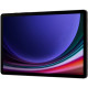 Samsung Galaxy Tab S9 5G 12/256GB Graphite (SM-X716BZAESEK)