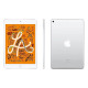 Apple iPad mini 5 Wi-Fi + Cellular 64GB Silver (MUXG2, MUX62)