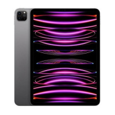 Apple iPad Pro 11 2022 Wi-Fi + Cellular 1TB Space Gray (MP5E3, MNYJ3)