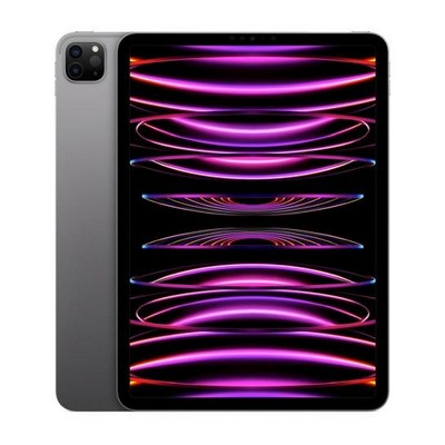 Apple iPad Pro 11 2022 Wi-Fi + Cellular 2TB Space Gray (MP5G3, MNYL3)