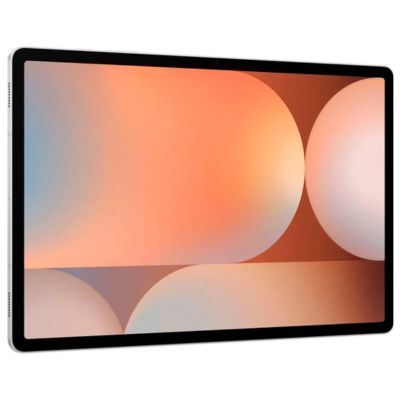 Samsung Galaxy Tab S10 Plus 12/256GB Platinum Silver (SM-X820NZSR)