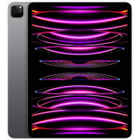 Apple iPad Pro 11 2022 Wi-Fi 2TB Space Gray (MNXM3)