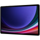 Samsung Galaxy Tab S9 Plus 256 5G (SM-X816BZAASEK)