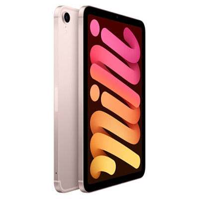 Apple iPad mini 6 Wi-Fi + Cellular 256GB Pink (MLX93)