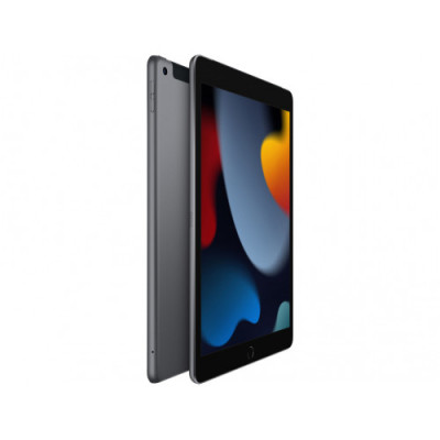 Apple iPad 10.2 2021 Wi-Fi + Cellular 256GB Space Gray (MK693, MK4E3)