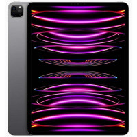 Apple iPad Pro 11 2022 Wi-Fi + Cellular 256GB Space Gray (MP573, MNYE3)