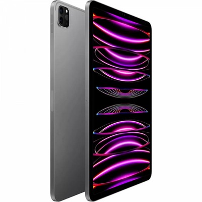 Apple iPad Pro 11 2022 Wi-Fi + Cellular 256GB Space Gray (MP573, MNYE3)