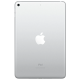 Apple iPad mini 5 Wi-Fi + Cellular 256GB Silver (MUXN2, MUXD2)