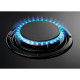 ZANUSSI ZGO65414BA