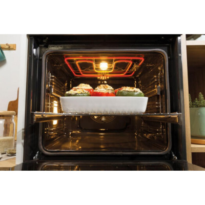 Gorenje BPSA6747A08X