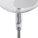 ESPERANZA Hurricane EHF001WW