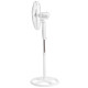 Ardesto FN-1608RW