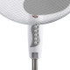 ESPERANZA Hurricane EHF001WE