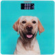 Ardesto SCB-965DOG
