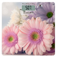 Scarlett SC-BS33E049