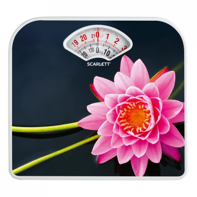 Scarlett SC-BS33M043